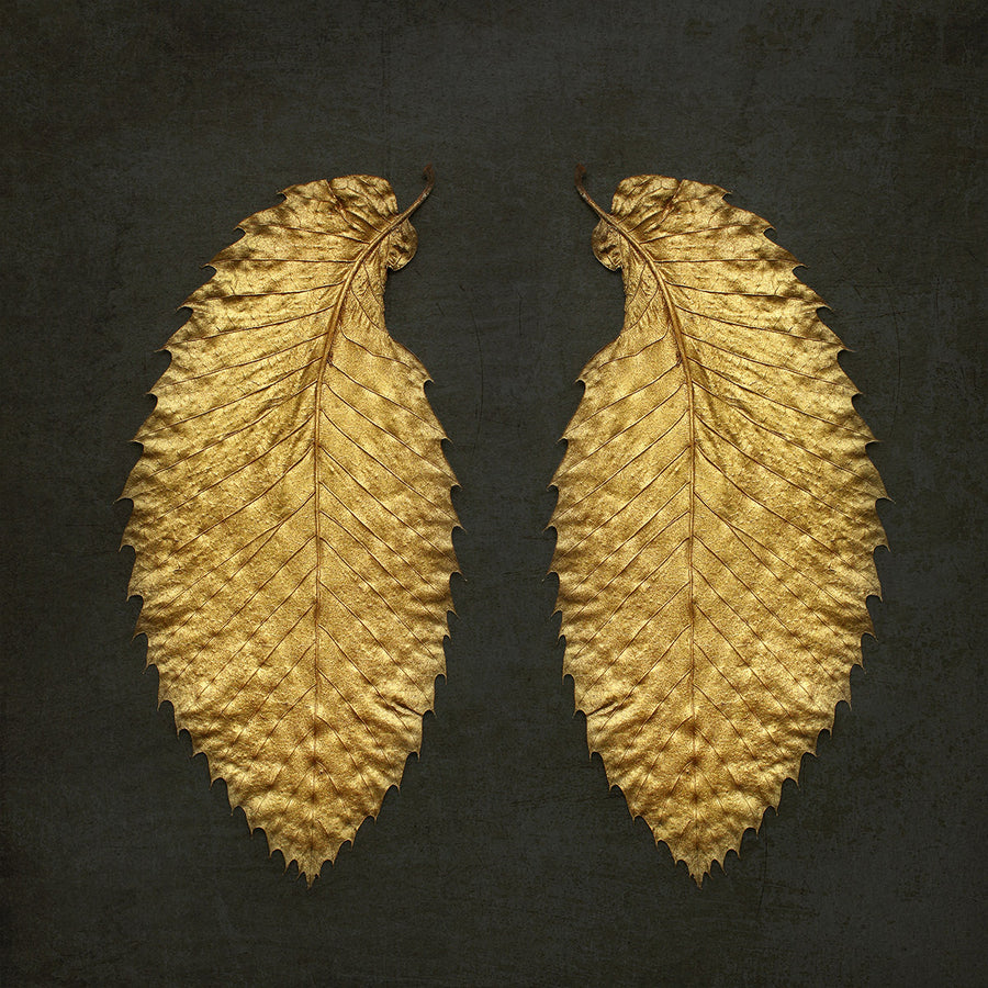 Gold Leaf II archival giclée print by Alyson Fennell
