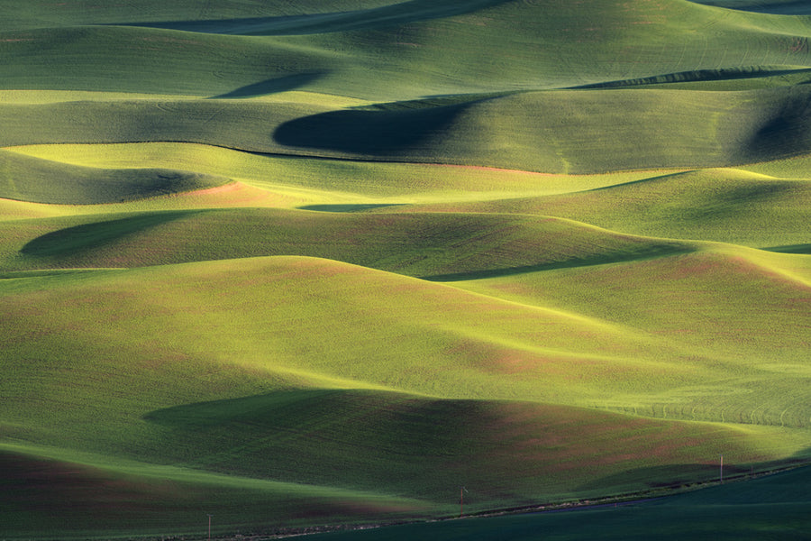 Flowing Green Hills archival giclée print by Austin Li
