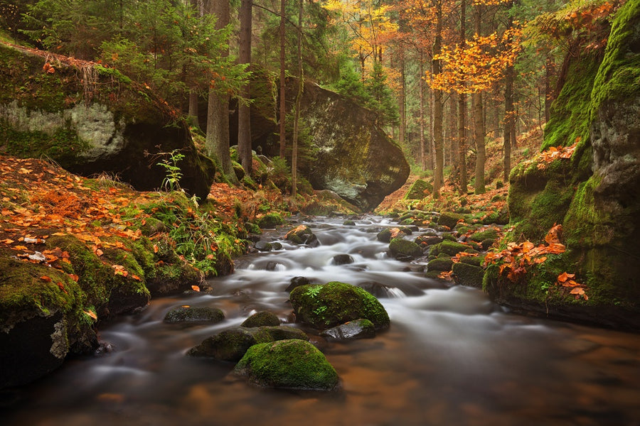 Small river in Autumn Colours