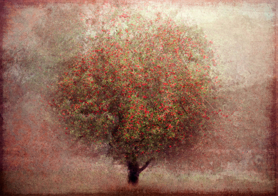 Rustic Berry Tree archival giclée print by Katarina Holmström