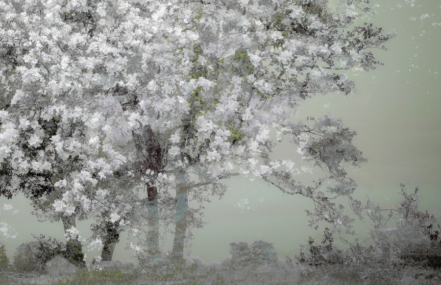 Spring archival giclée print by Nel Talen