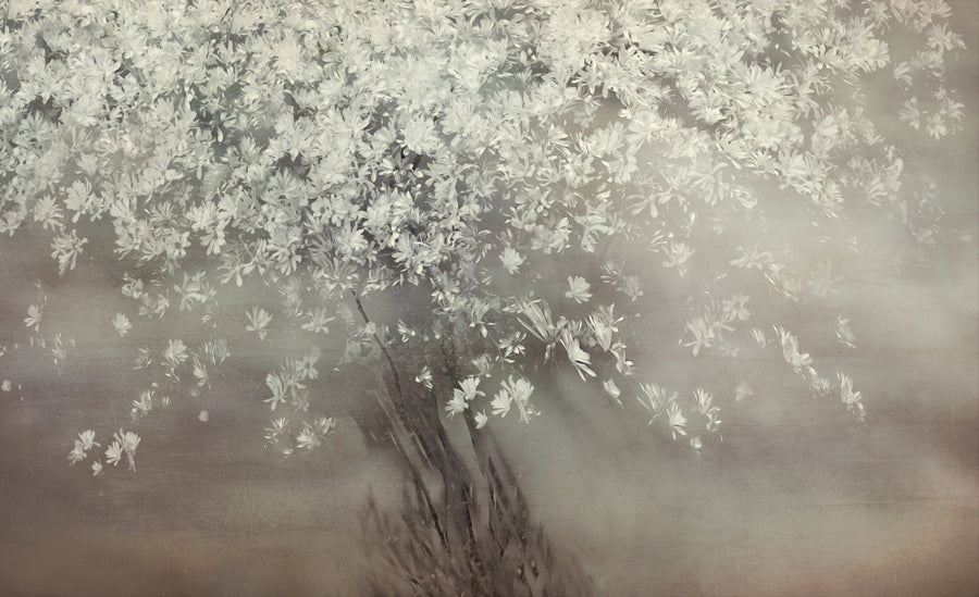 Stars of Spring archival giclée print by Nel Talen