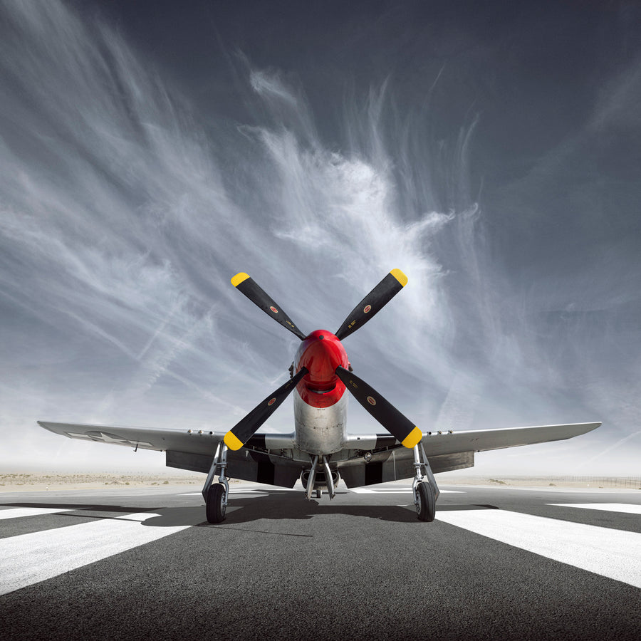 Mustang - Front Aspect art print by Tim Wallace