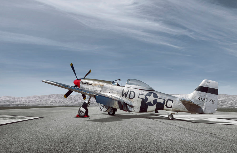 Mustang art print by Tim Wallace
