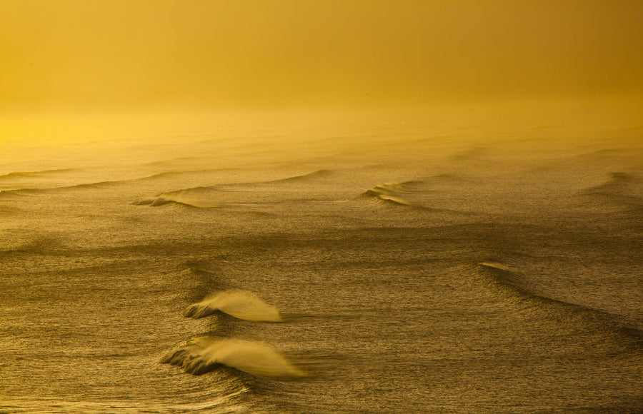 Golden Waves Surface archival giclée print by Anthony Fox