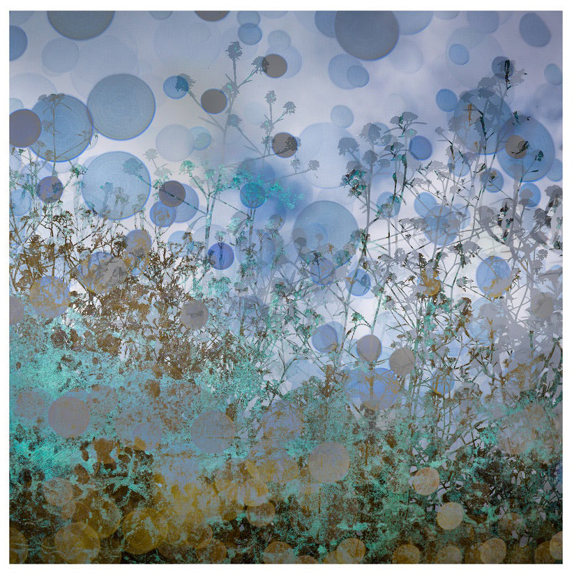 Hedgerow Bokeh 5 archival giclée print by Cathryn Baldock