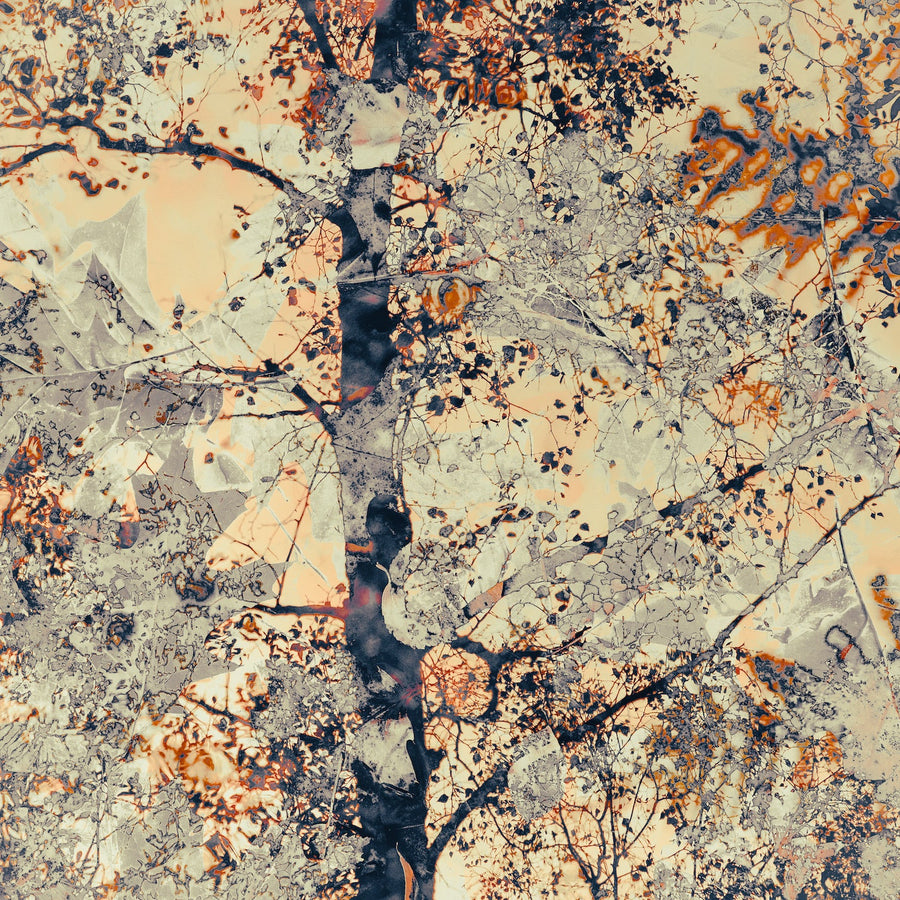 Trees and leaves 3 archival giclée print by Cathryn Baldock