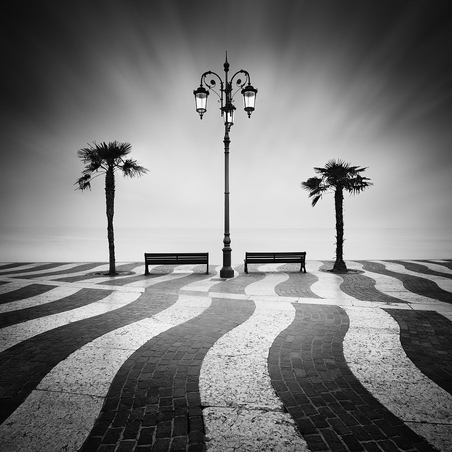 Black White Palm Promenade archival giclée print by Daniel Řeřicha
