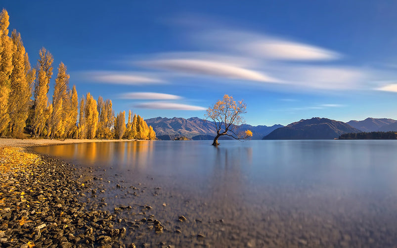 Autumn in Lake Wanaka archival giclée print by Hua Zhu