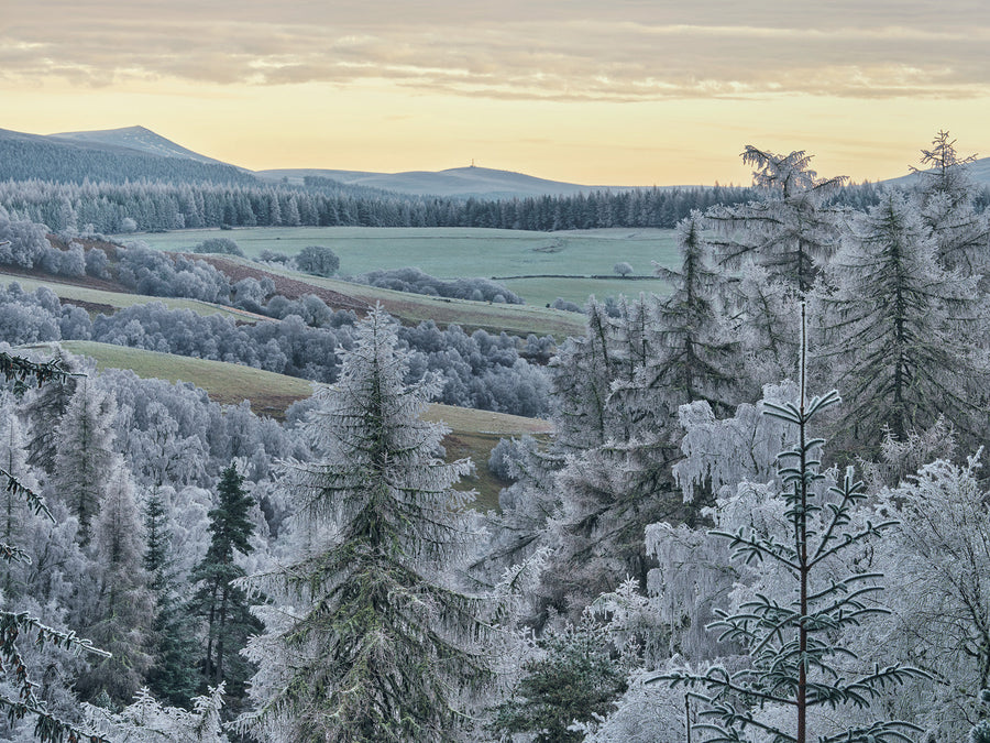Frosty Grantown on Spey archival giclée print by Ian Cameron