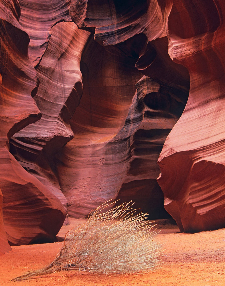 Slot Sculpture archival giclée print by Ian Cameron
