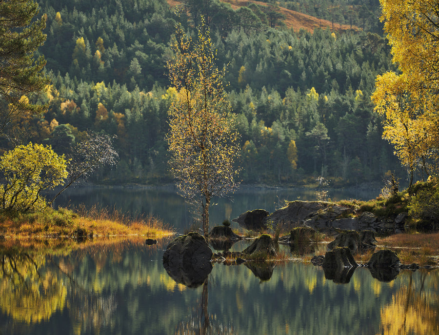 Sparkle Glen Affric archival giclée print by Ian Cameron