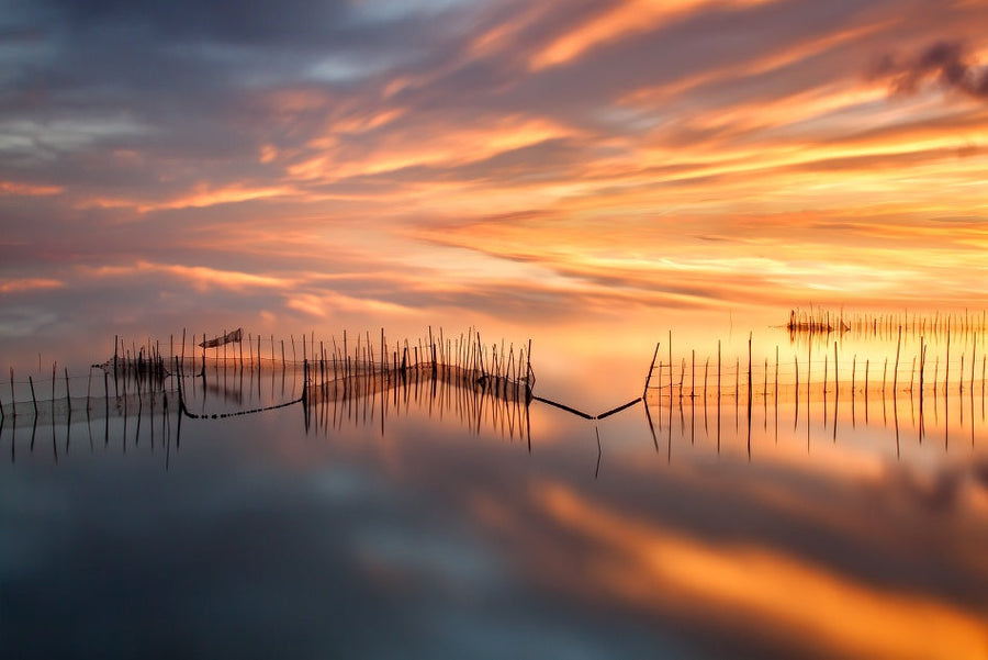 Golden Hour Fishing Nets archival giclée print by Jose Beut