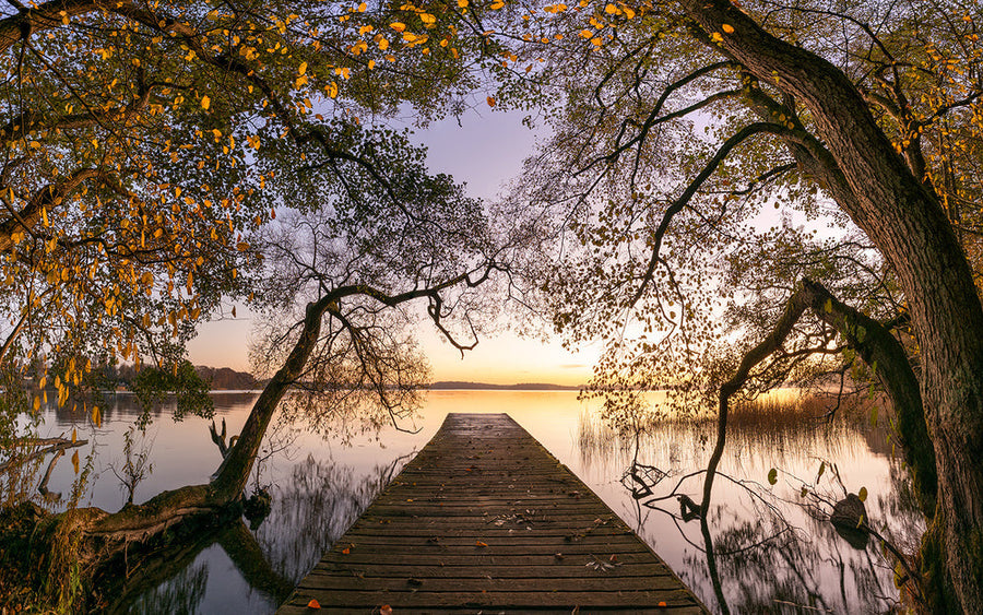 Autumn archival giclée print by Keller