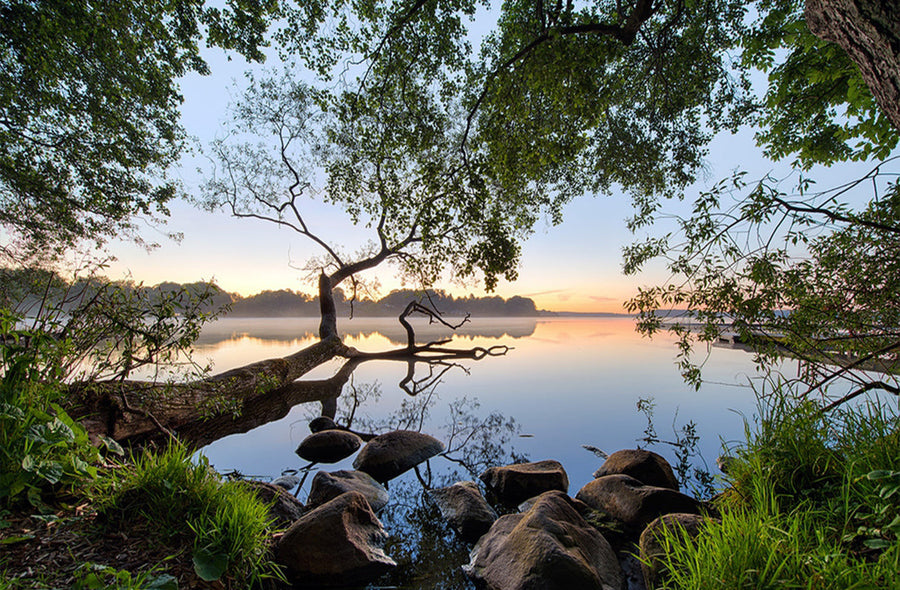 Misty Lake Morning archival giclée print by Keller
