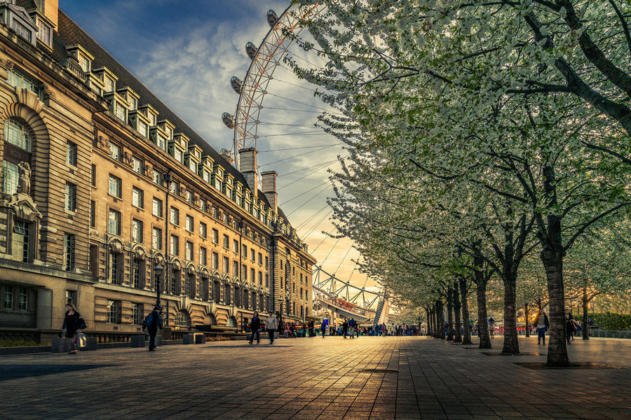 London Eye Spring Blossoms archival giclée print by Nader El Assy