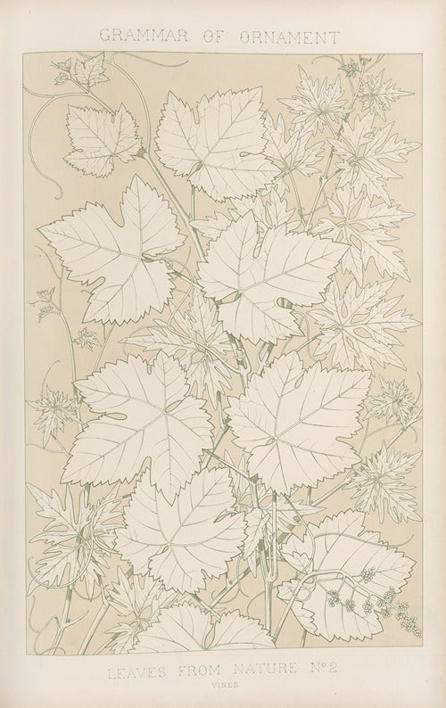 Leaves from Nature No. 2 by Owen Jones