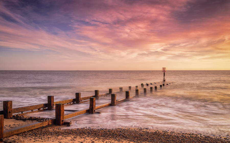 Morning Glory by Steve Docwra
