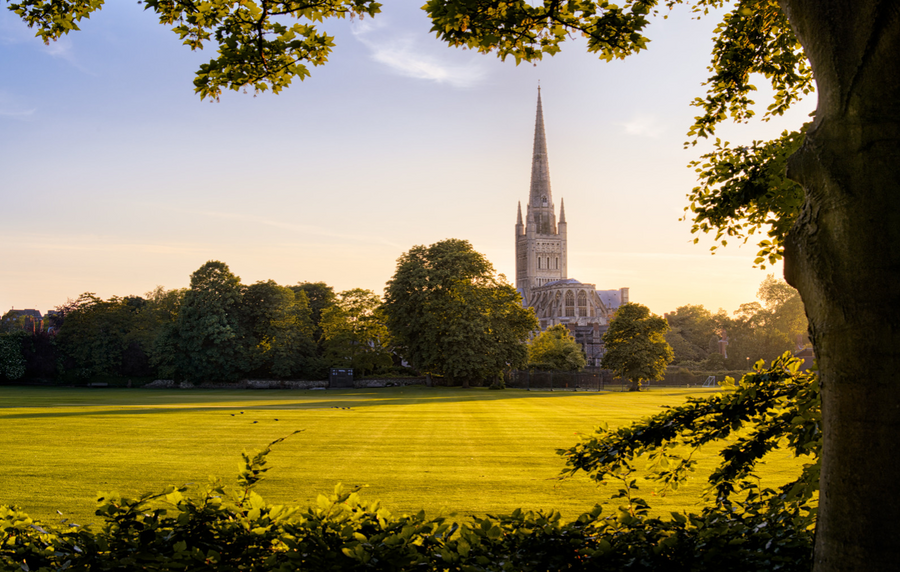 Norwich Cathedral by Steve Docwra