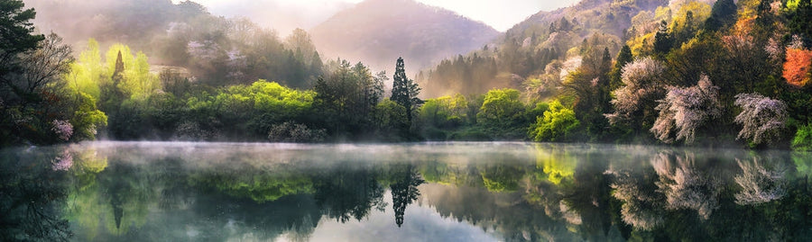 Morning Calm archival giclée print by Tiger Seo