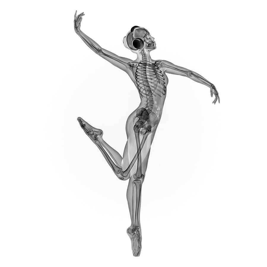 X-rated Dancer by Tim Wallace