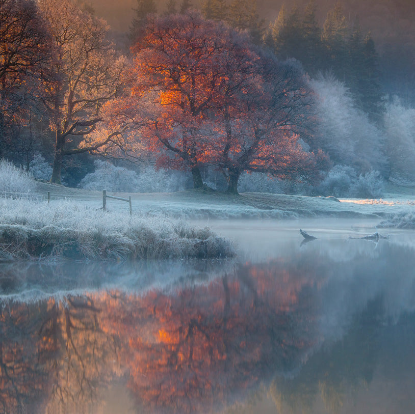 River Brathay archival giclée print by Wolfy