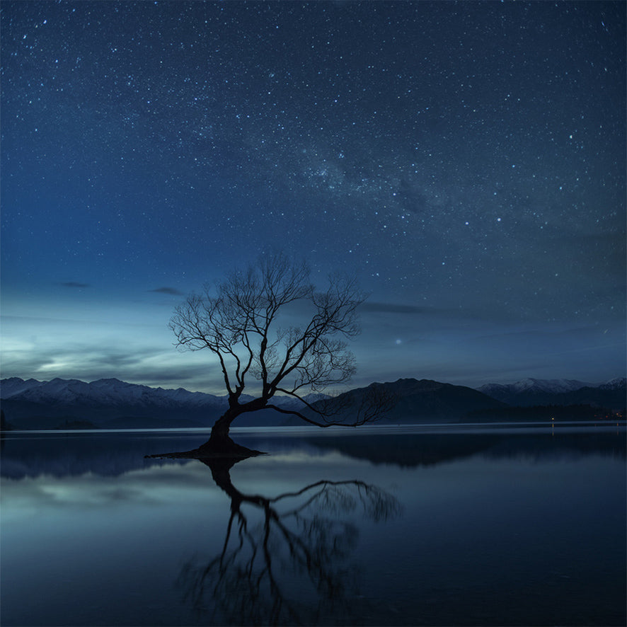 Lone Tree Starry Night archival giclée print by Yu Cheng