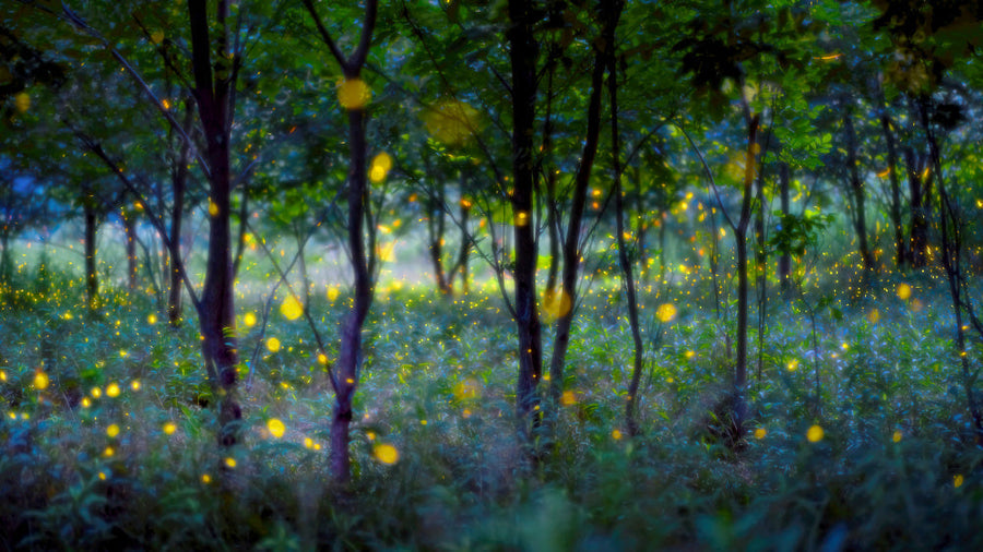 What is abstract nature art?