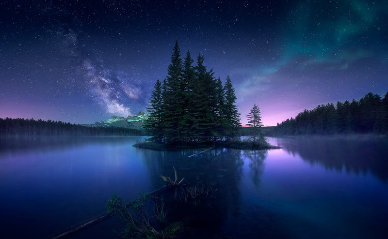What is waterscape artwork?