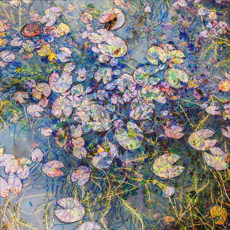 How to choose lily art prints
