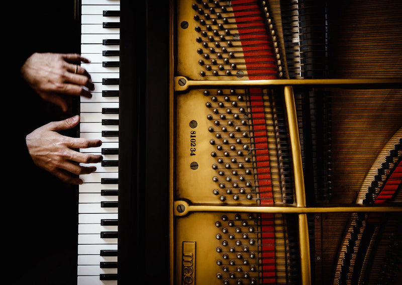 Music art print The Pianist by Sergio Rapagna