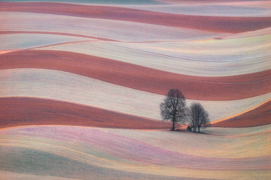 Serene Rolling Fields archival giclée print by Ales Komovec