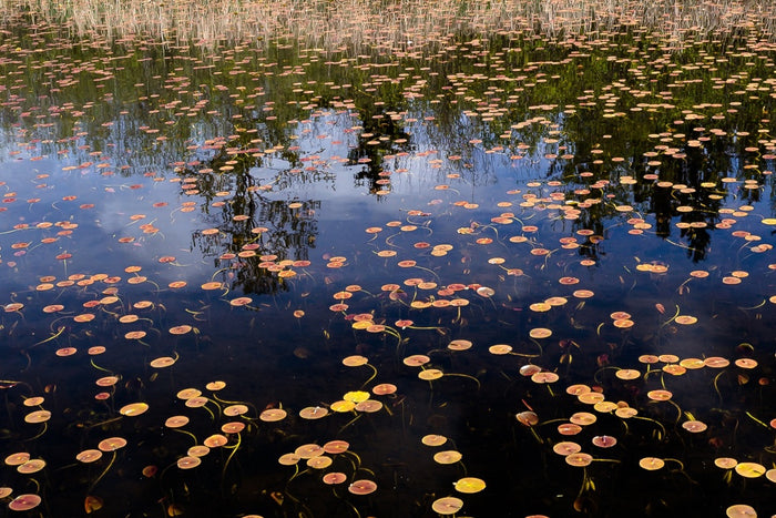 Phantom Lake archival giclée print by Alex Levine
