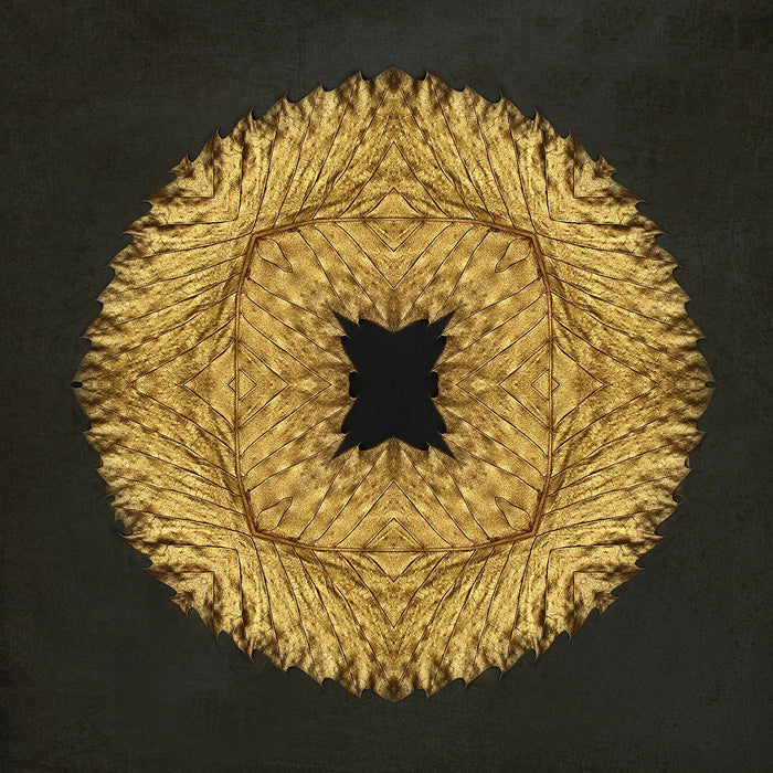 Gold Leaf III archival giclée print by Alyson Fennell