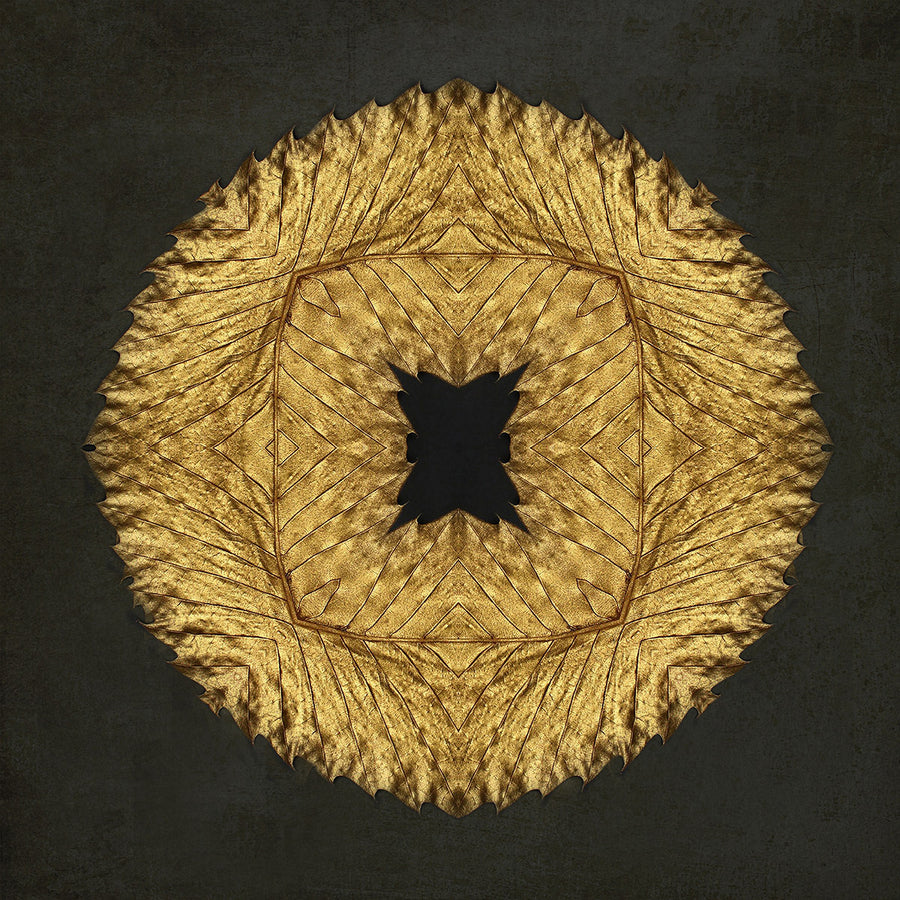 Gold Leaf III archival giclée print by Alyson Fennell