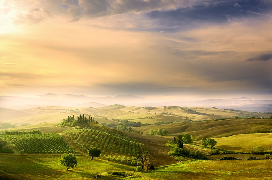 Tuscan Morning Landscape