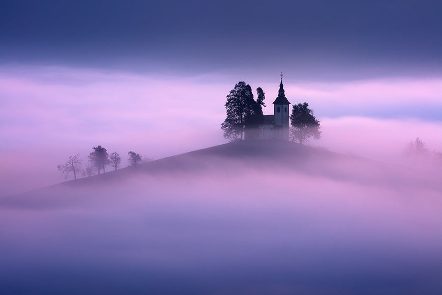 In the Morning Fog