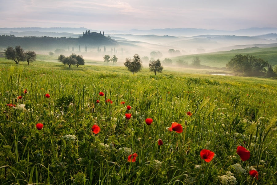 Tuscan Spring archival giclée print by Daniel Řeřicha