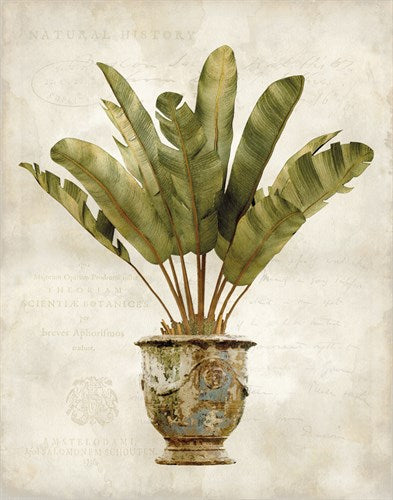 Botanica - Tropical archival giclée print by Emma Hill