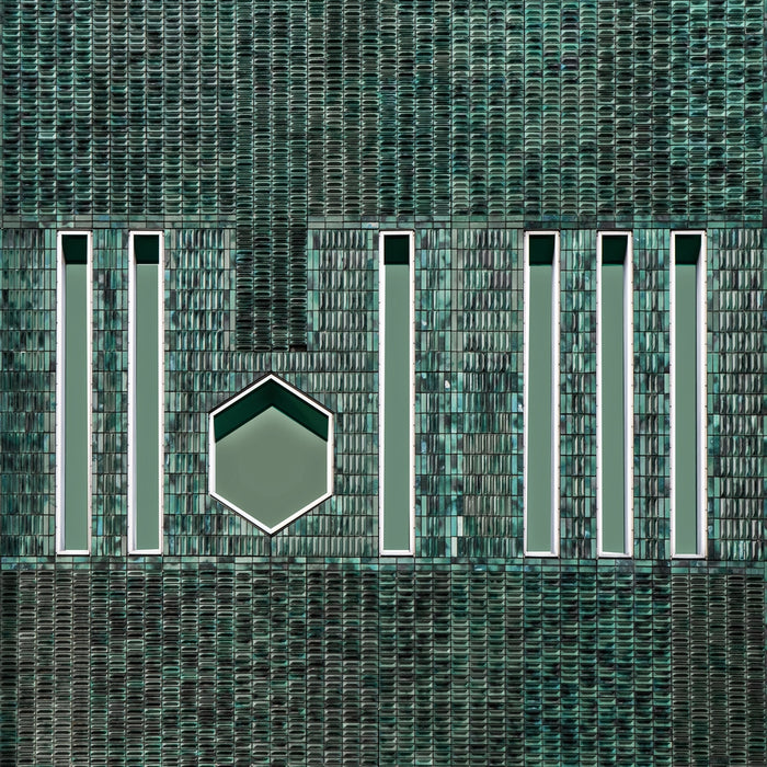 Moza Wall archival giclée print by Gilbert Claes