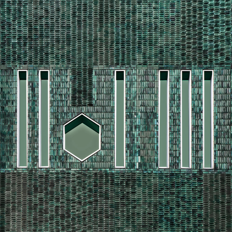 Moza Wall archival giclée print by Gilbert Claes