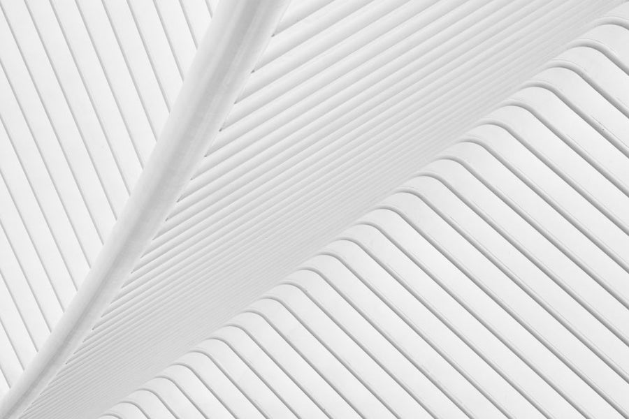 Canopy archival giclée print by Greetje van Son