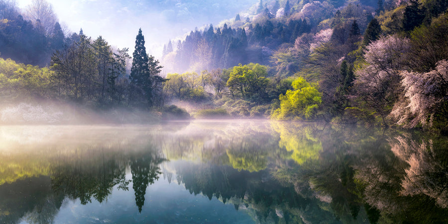 Misty Spring Reflections archival giclée print by Gwangseop Eom