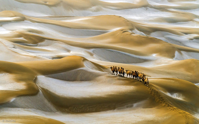 Desert Winter archival giclée print by Hua Zhu