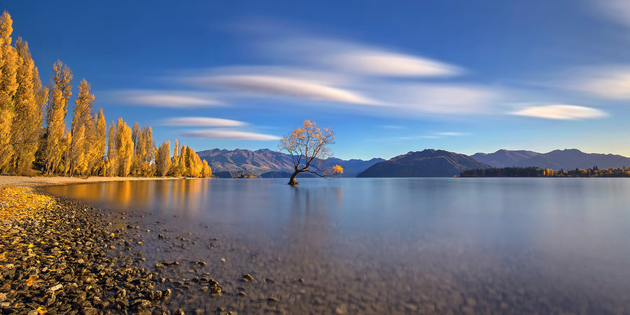 Golden Autumn Lake Reflections archival giclée print by Hua Zhu