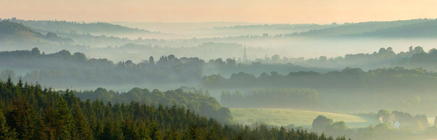 Dorking Misty Morning archival giclée print by John Miller