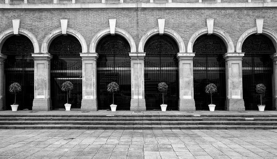 Arches & Bay Trees art print by Lee Frost