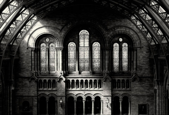 Natural History Museum archival giclée print by Lee Frost