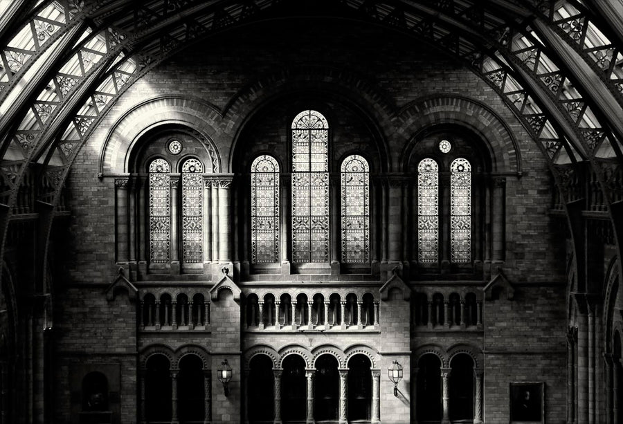 Natural History Museum art print by Lee Frost