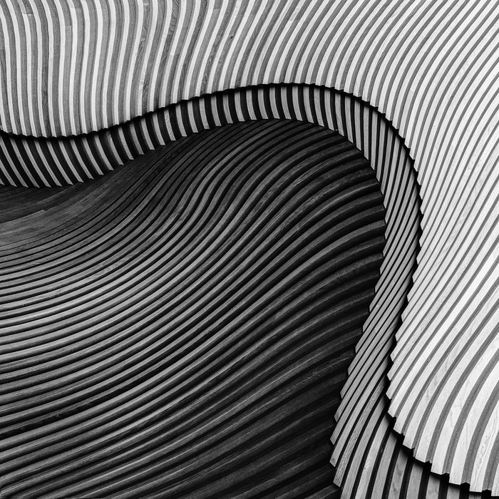 The wood project II archival giclée print by Luc Vangindertael
